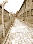 auschwitz fence - powerpoint graphics