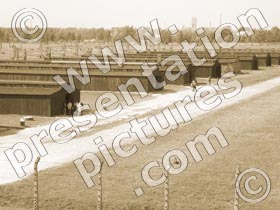 birkenau huts - powerpoint graphics