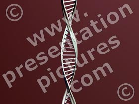 dna - powerpoint graphics