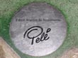 pele signature - powerpoint graphics