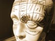 phrenology head - powerpoint graphics