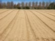 ploughed field - powerpoint graphics