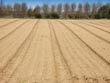 ploughed field - powerpoint graphics