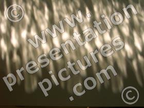 sun shadow - powerpoint images